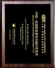 中国—东盟职业教育卓越合作伙伴