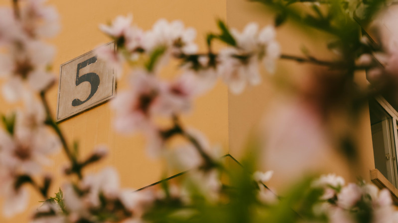 机械工程学院开展“春日来信”摄影作品大赛